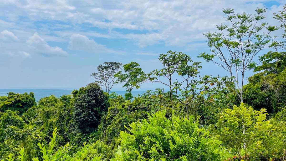 House for sale in Ojochal Costa Rica